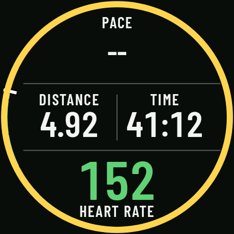 A data page while paused, with the yellow ring