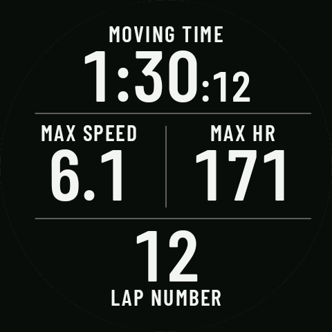 A page with moving time, max speed, max heart rate and lap number